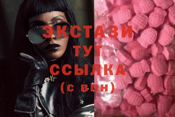 дмт Щигры